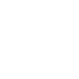 Achtsamkein bei psychischer Belastung